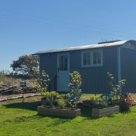 Toms Hut And Robins Rest Shepherd Huts Near 웨이드브리지 외부 사진