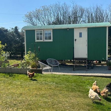 Toms Hut And Robins Rest Shepherd Huts Near 웨이드브리지 외부 사진