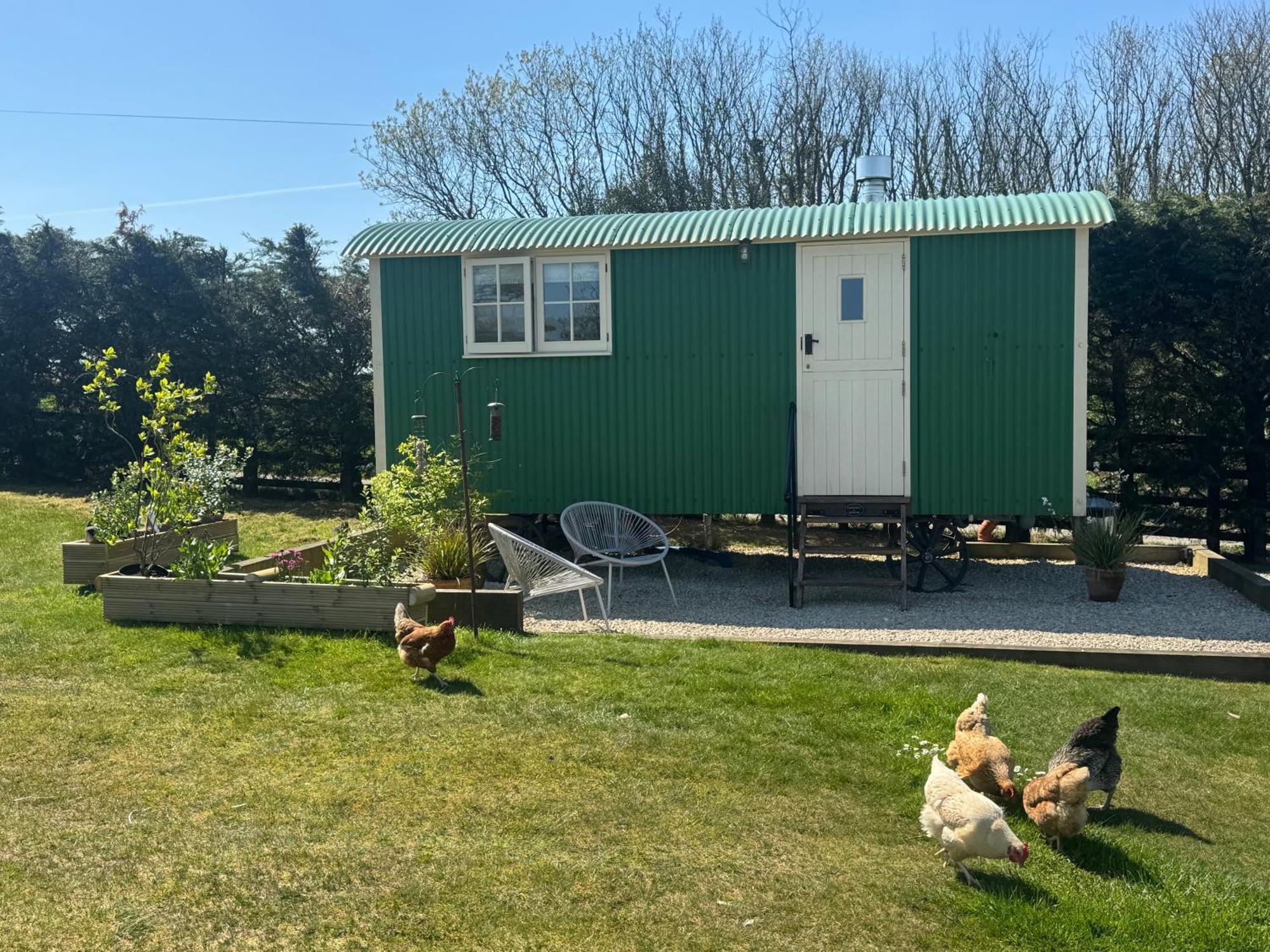 Toms Hut And Robins Rest Shepherd Huts Near 웨이드브리지 외부 사진